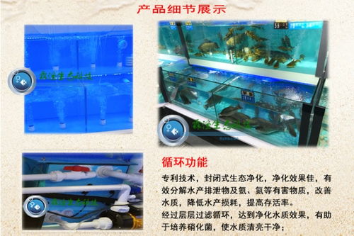 南昌霖渔科技 定制化生态养殖，赋能酒店海鲜暂养新纪元